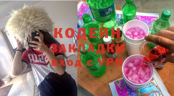 ПСИЛОЦИБИНОВЫЕ ГРИБЫ Горно-Алтайск