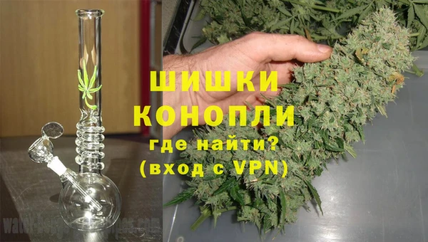 дживик Горнозаводск