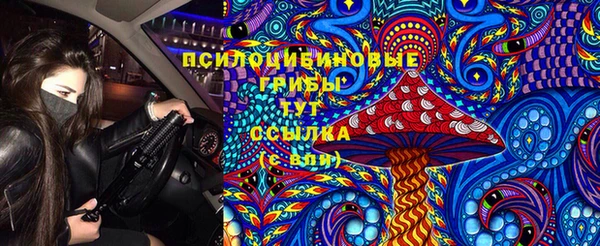 ПСИЛОЦИБИНОВЫЕ ГРИБЫ Горно-Алтайск