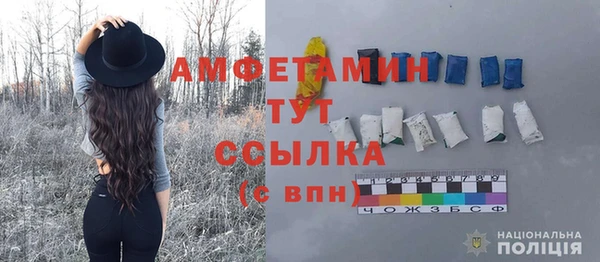 ПСИЛОЦИБИНОВЫЕ ГРИБЫ Горно-Алтайск