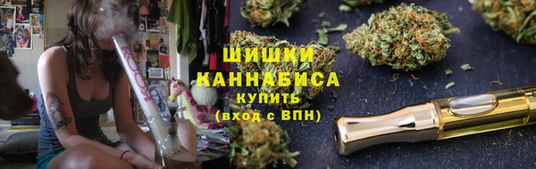 дживик Горнозаводск