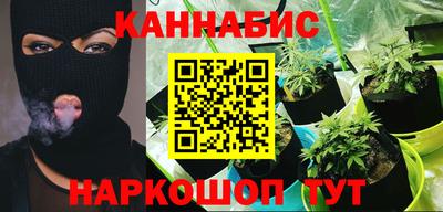 шишки Балашиха