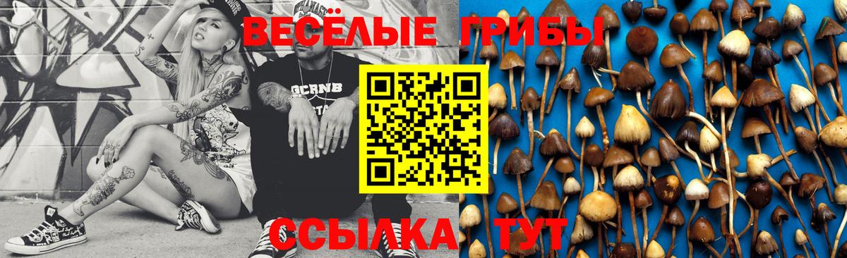 Галлюциногенные грибы MAGIC MUSHROOMS  Вход с VPN  Рузаевка 
