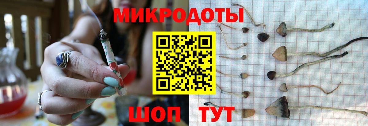 Галлюциногенные грибы Psilocybe Рузаевка