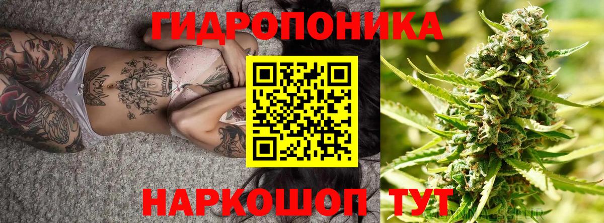 Бошки Шишки SATIVA & INDICA Рузаевка